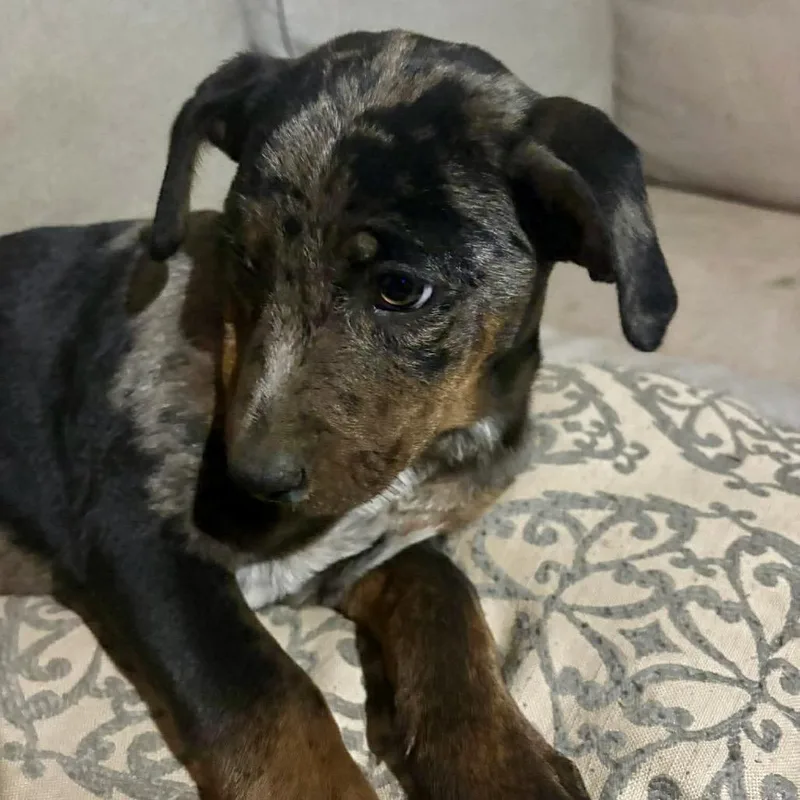 George O'malley thumbnail 3