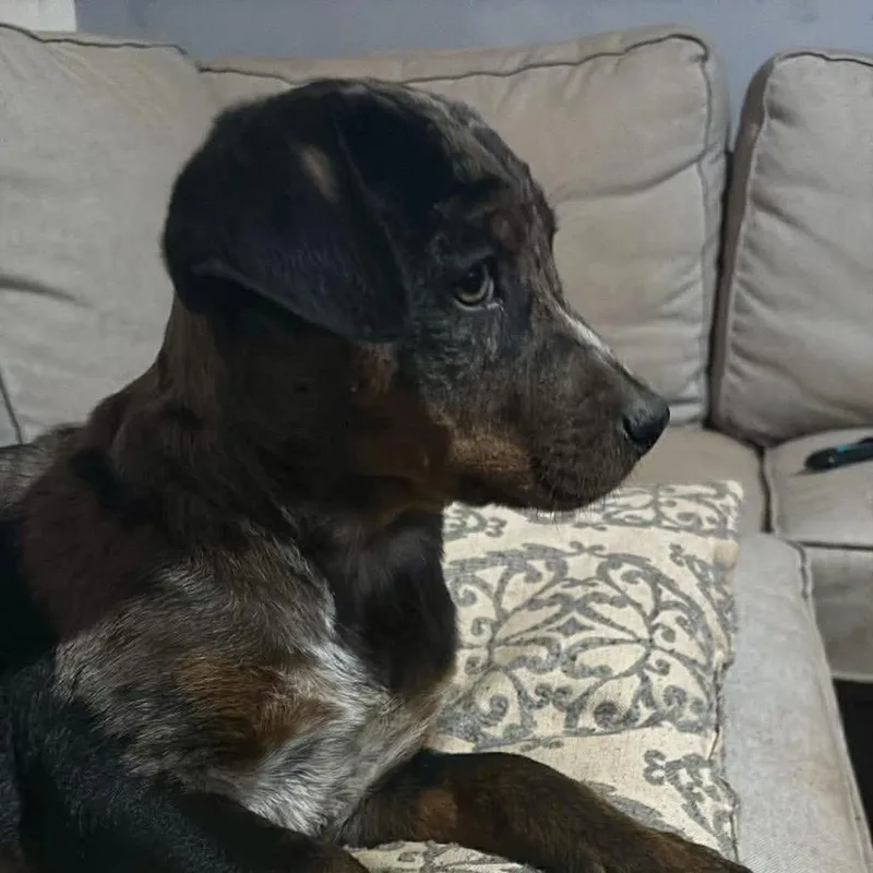 George O'malley thumbnail 4