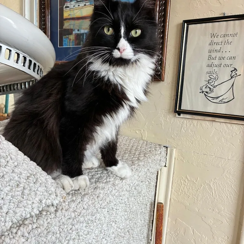 James Bond thumbnail 2