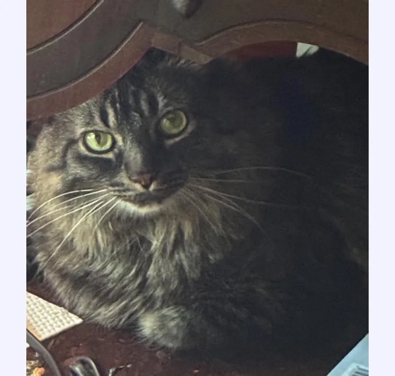 Max