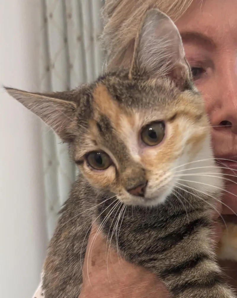 Molly thumbnail 3