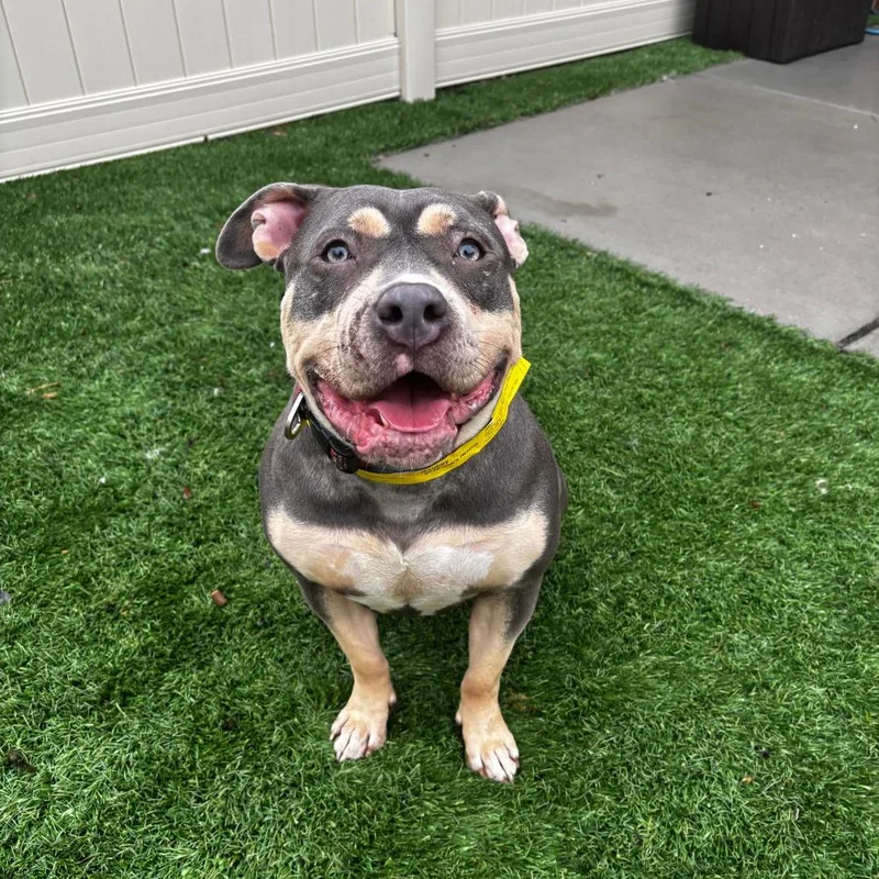 Gabbey Sofia thumbnail 2