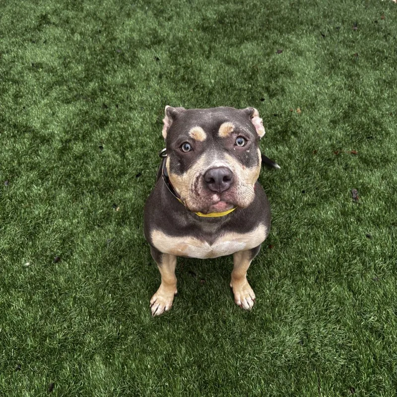 Gabbey Sofia thumbnail 3