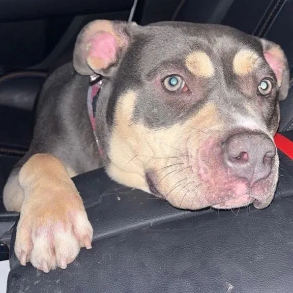 Gabbey Sofia thumbnail 5