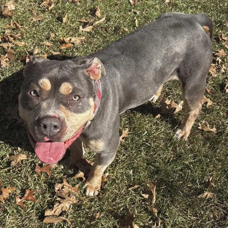 Gabbey Sofia thumbnail 6