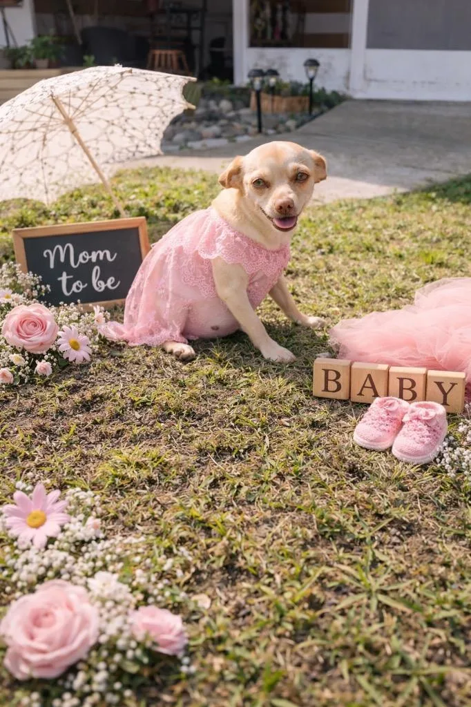 May May & Babies thumbnail 2