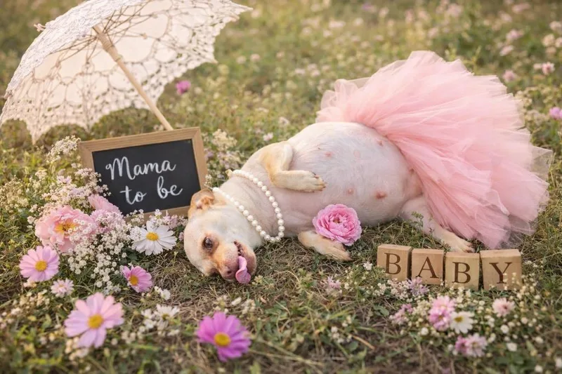 May May & Babies thumbnail 4
