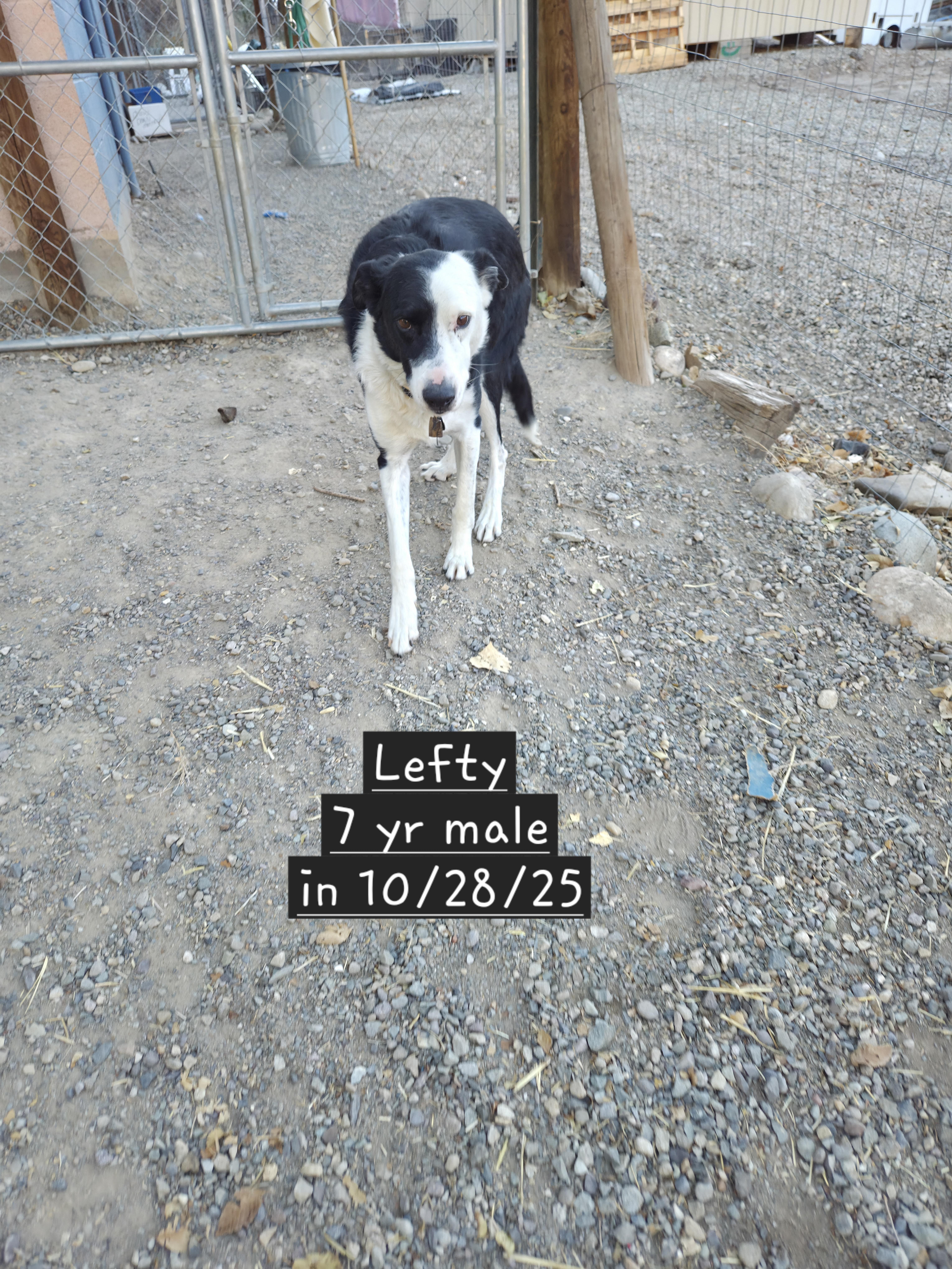 Lefty