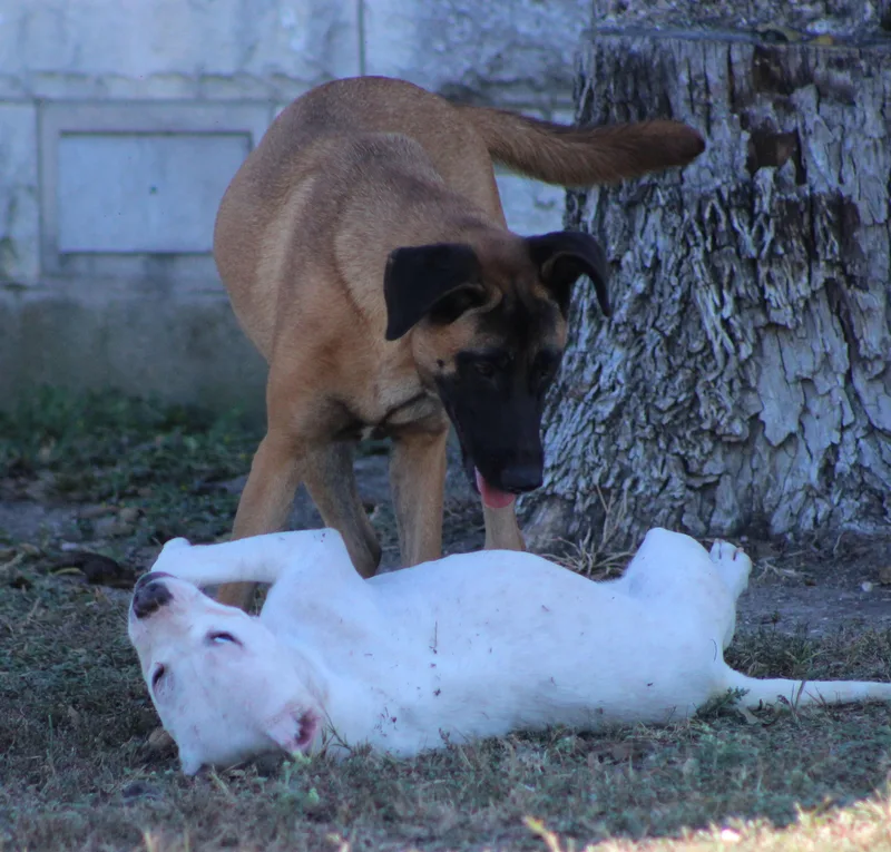 Wyatt thumbnail 5