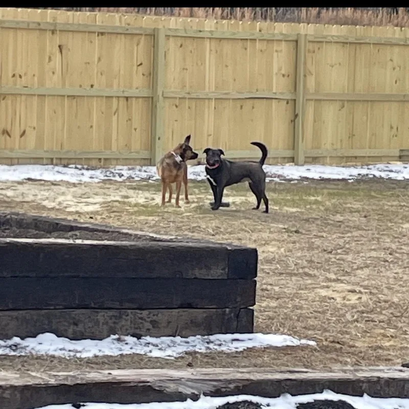 Holly & Polly Looking thumbnail 3