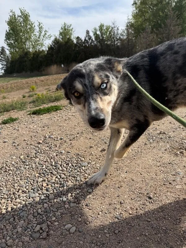 Francisco thumbnail 3