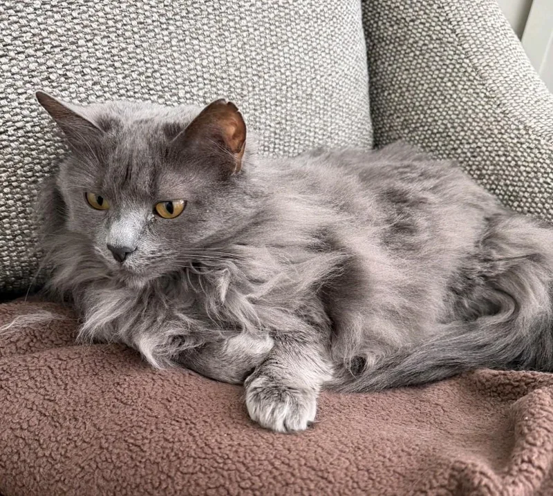 Miss Butters thumbnail 2