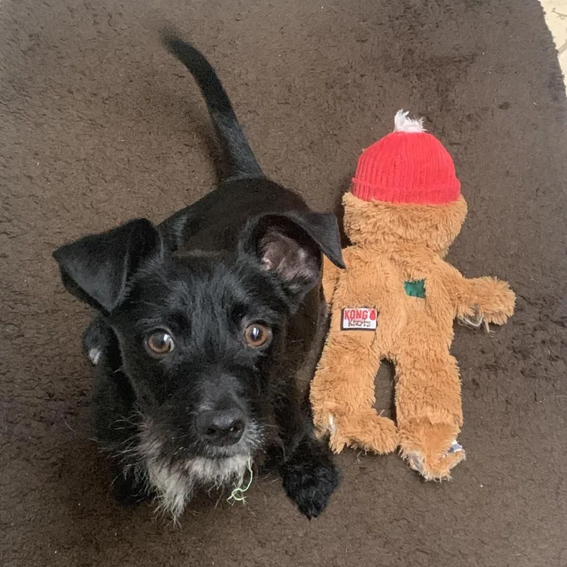 Trousers D thumbnail 4