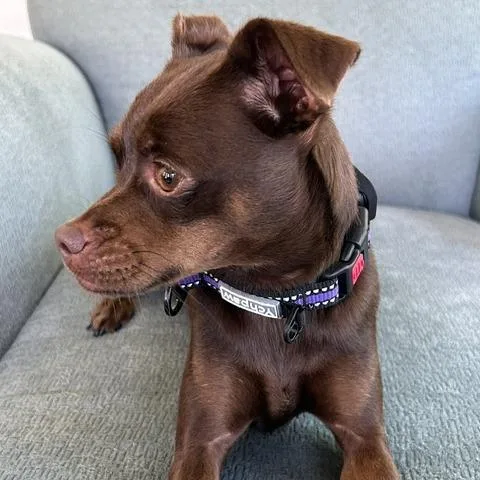 Zoey