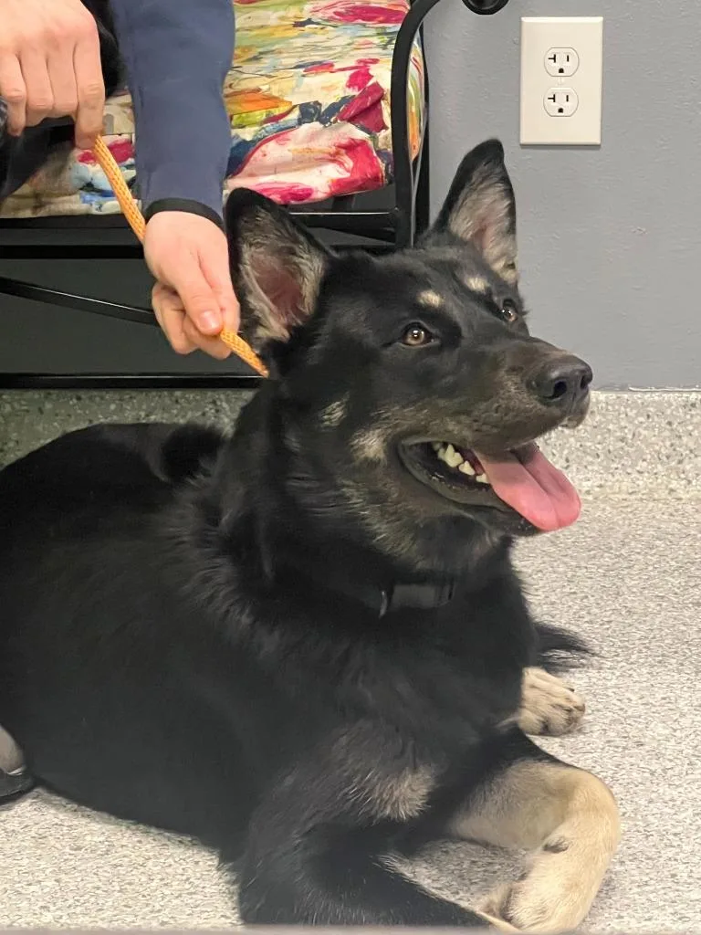 Buddy Clebourne thumbnail 2