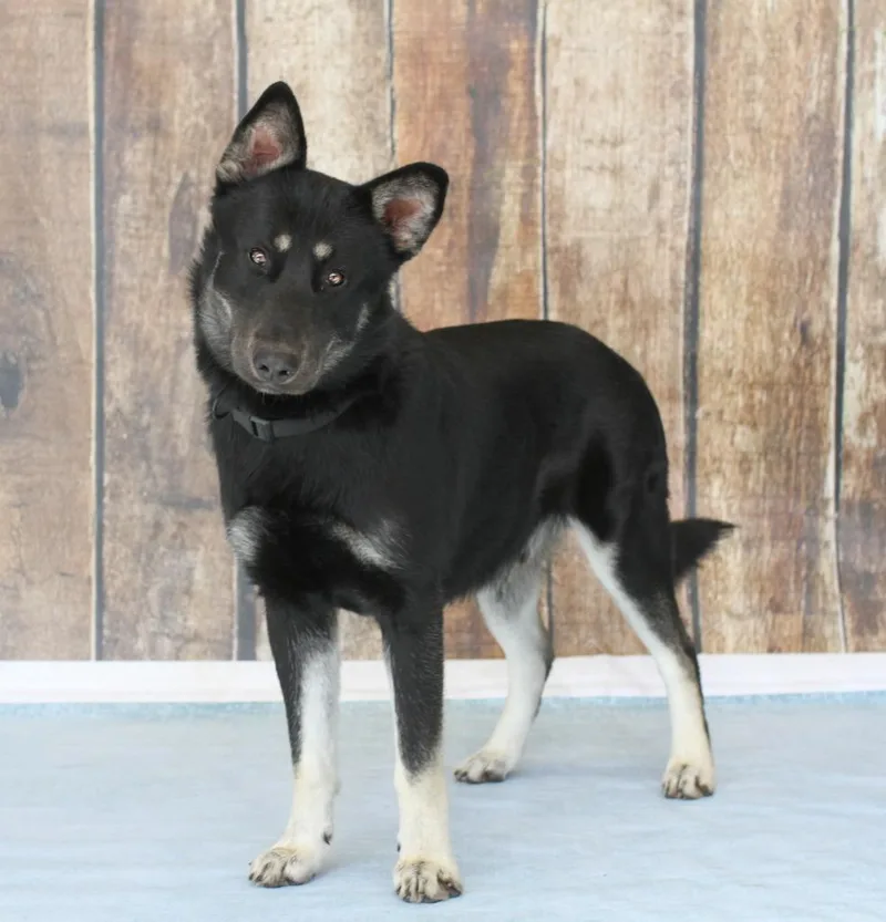 Buddy Clebourne thumbnail 3