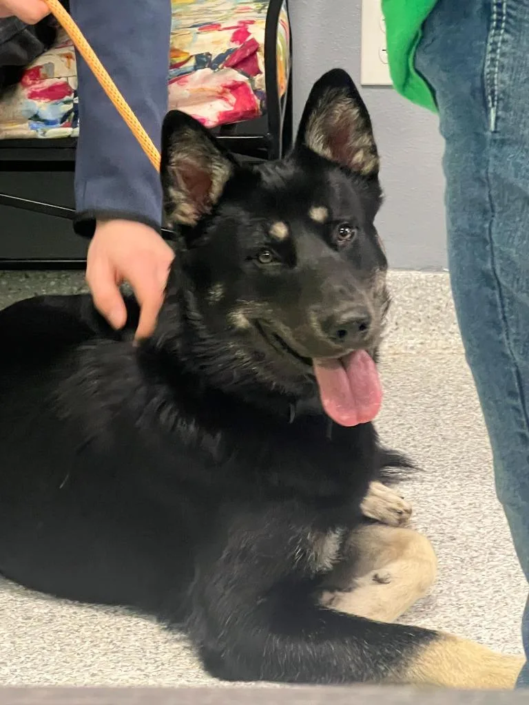 Buddy Clebourne thumbnail 4