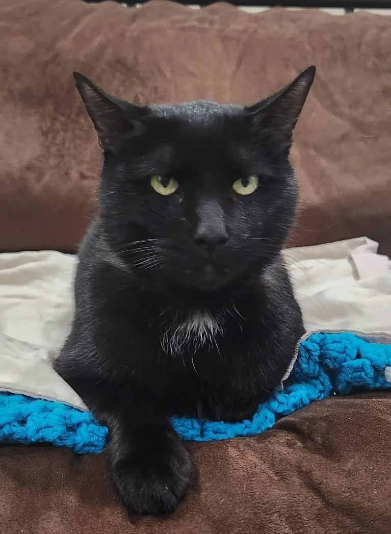 Thatcher thumbnail 2