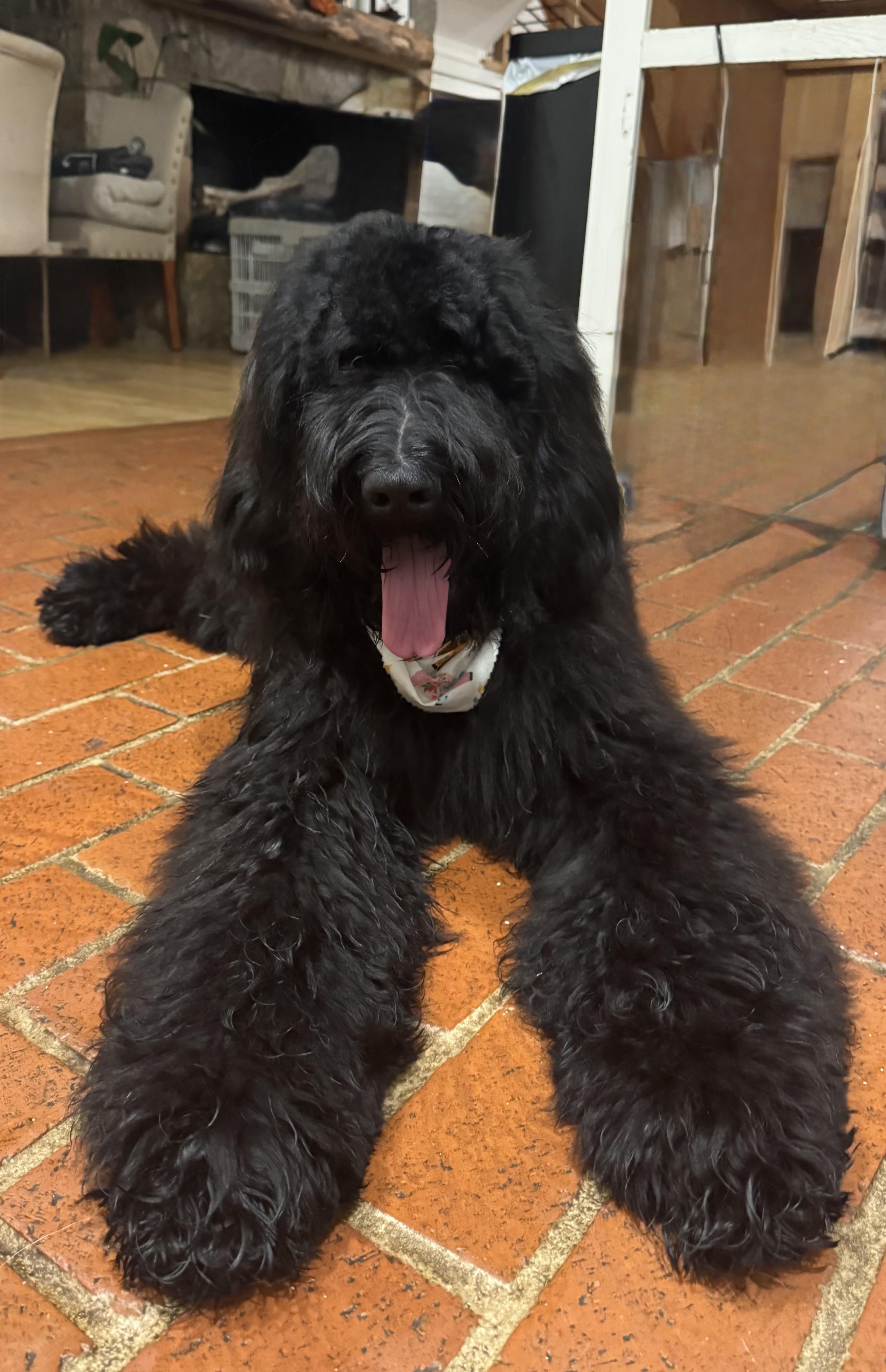 Sampson