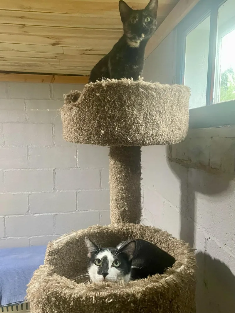 Nola & Maggie thumbnail 3