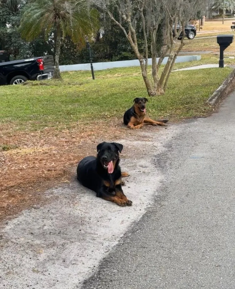 Alex & Cleo