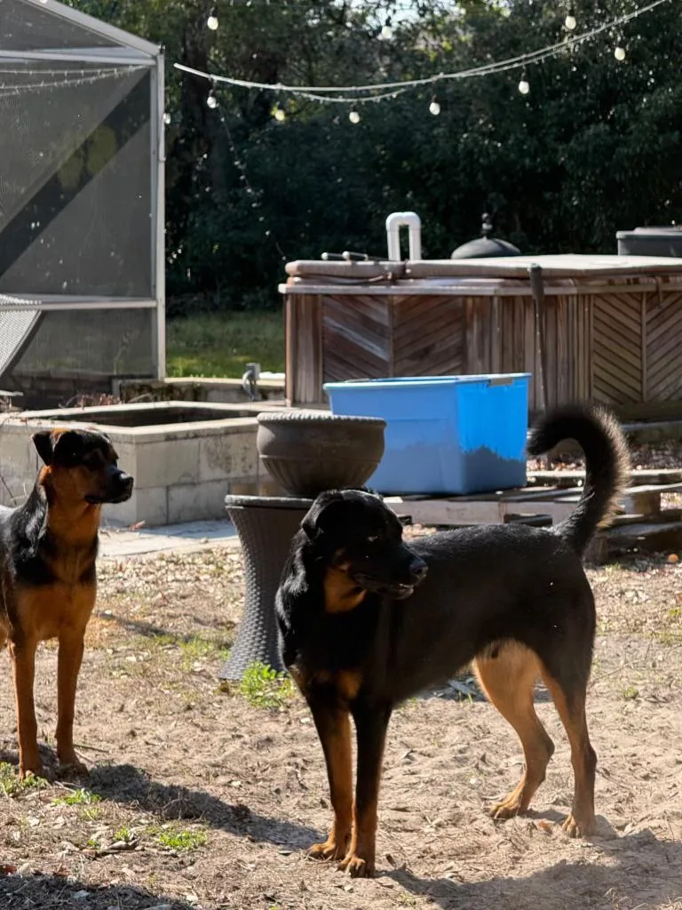 Alex & Cleo thumbnail 2