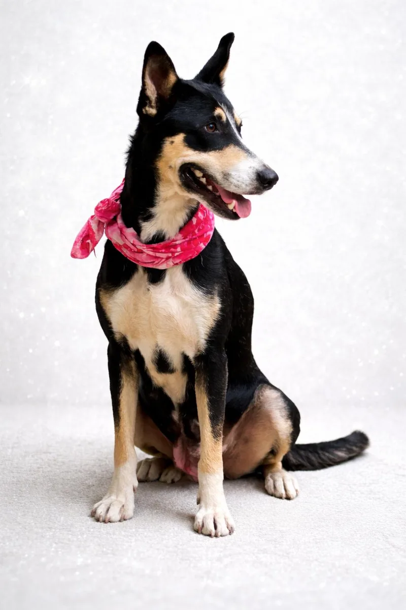 Sapphire thumbnail 2