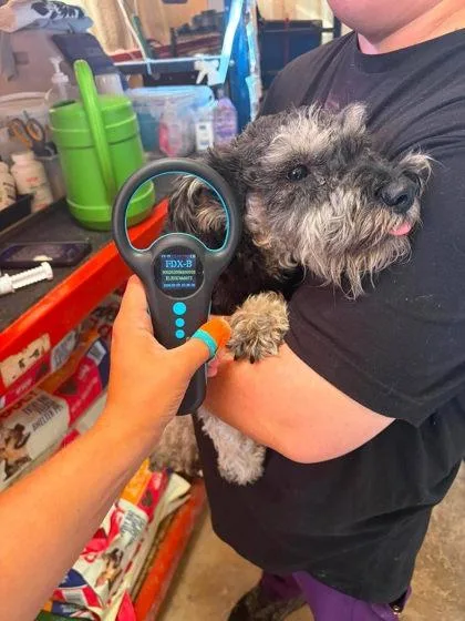 Max