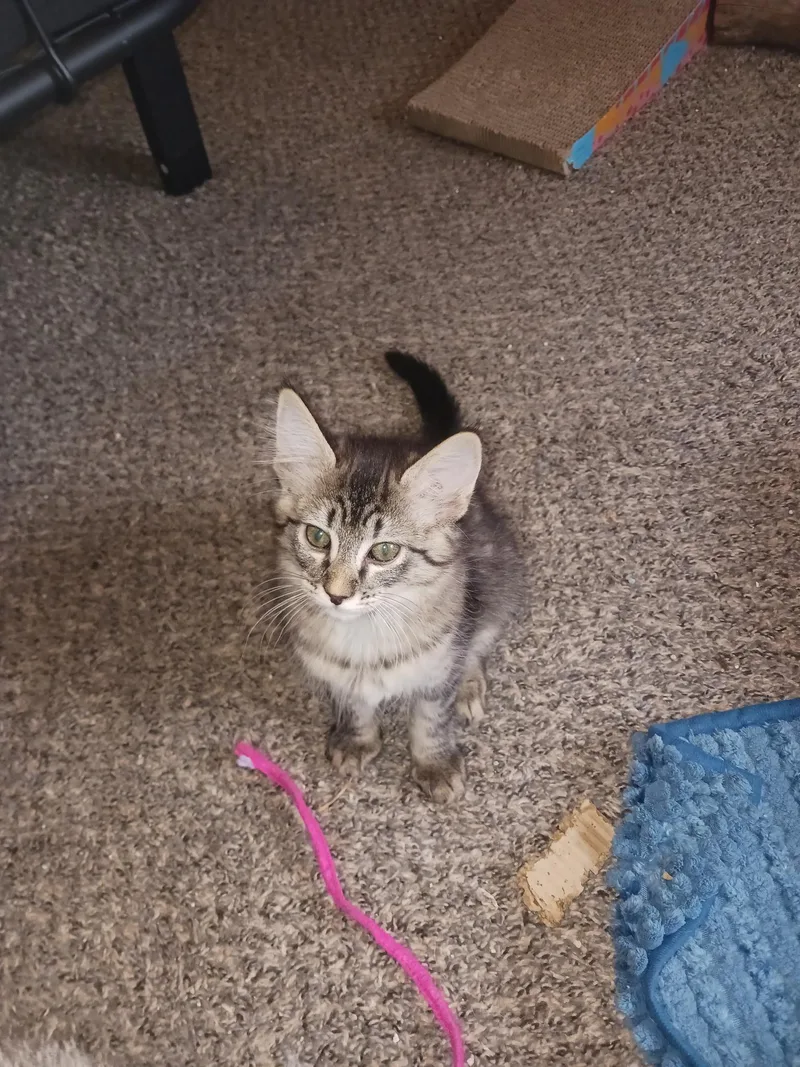 Rosie