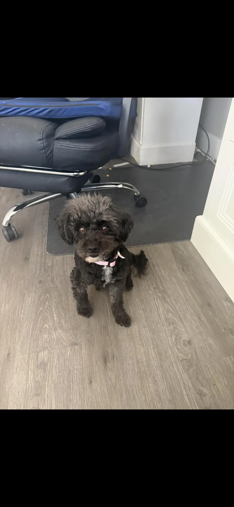 Betsy And Rocky thumbnail 2