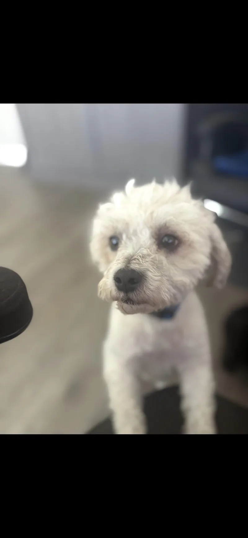 Betsy And Rocky thumbnail 3