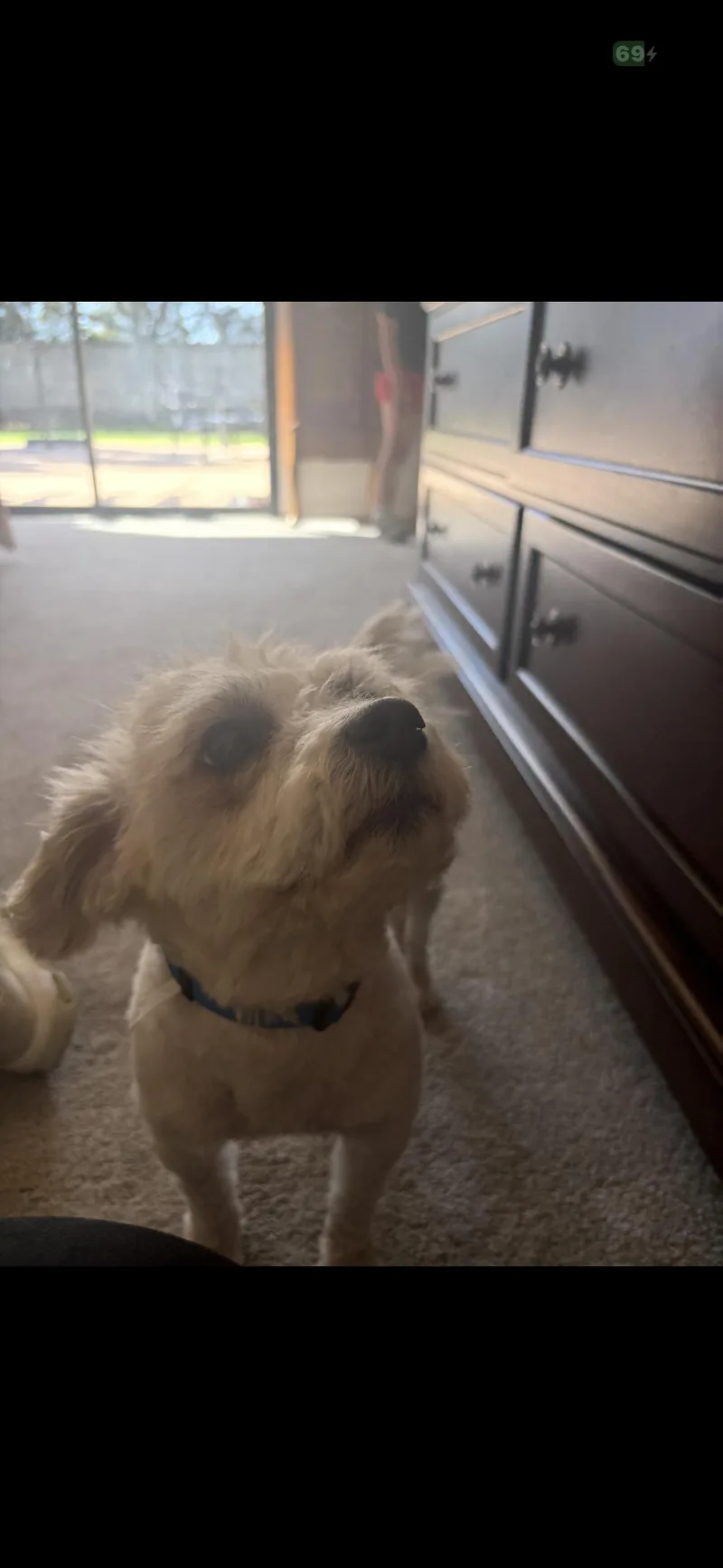 Betsy And Rocky thumbnail 4