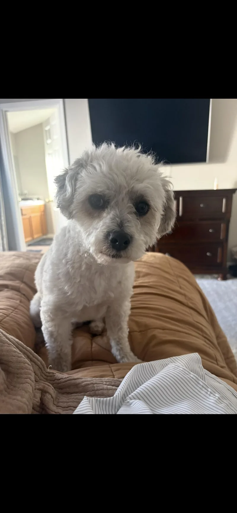 Betsy And Rocky thumbnail 5