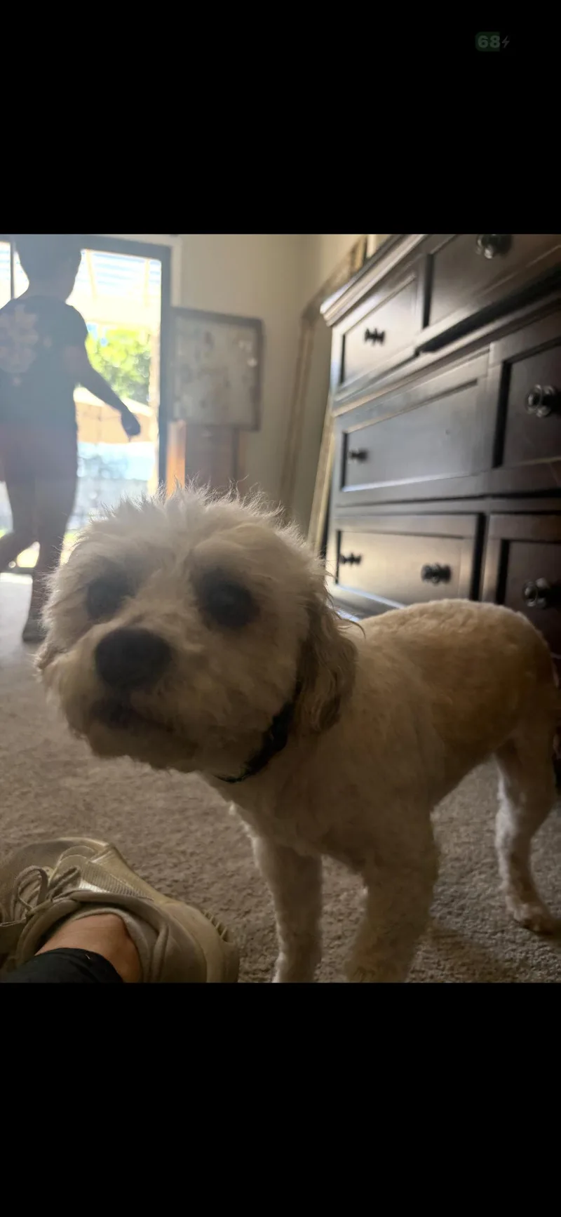 Betsy And Rocky thumbnail 6