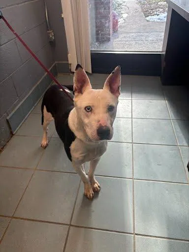 Jimmy Dean thumbnail 2