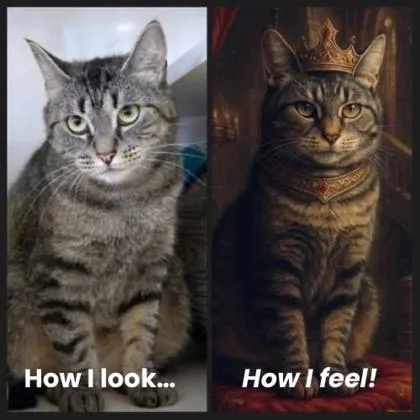 Patricia thumbnail 2