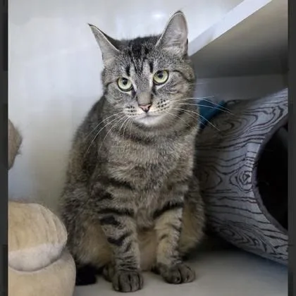 Patricia thumbnail 3