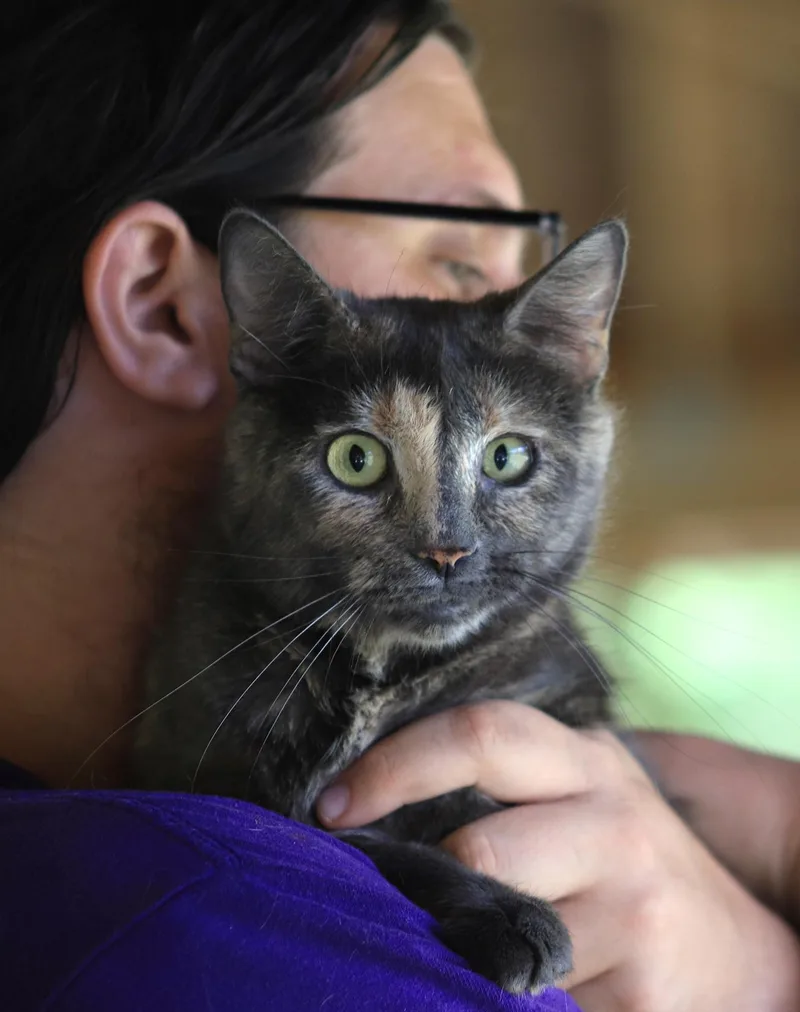 Willow thumbnail 2