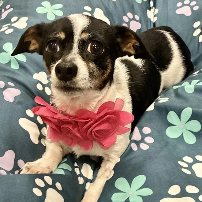 Ellie Mae thumbnail 3