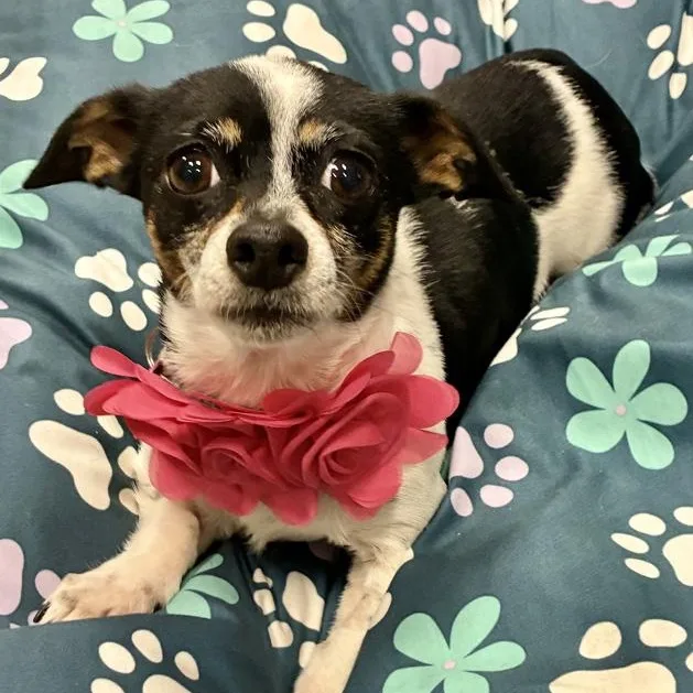 Ellie Mae thumbnail 5