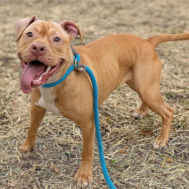 Fiona ~ Coming Soon!!!