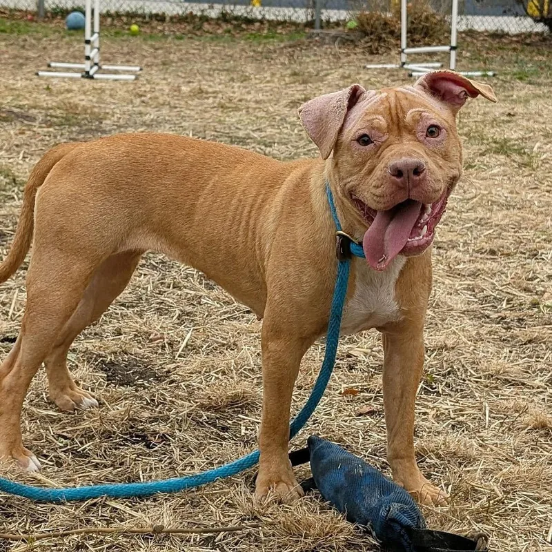 Fiona ~ Coming Soon!!! thumbnail 2