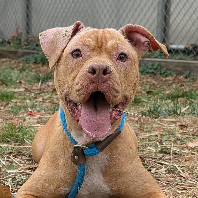 Fiona ~ Coming Soon!!! thumbnail 3