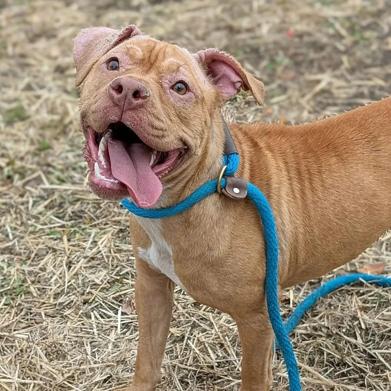 Fiona ~ Coming Soon!!! thumbnail 4