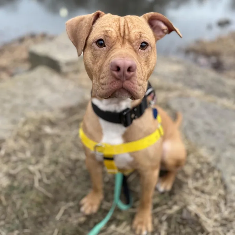 Fiona ~ Coming Soon!!! thumbnail 5