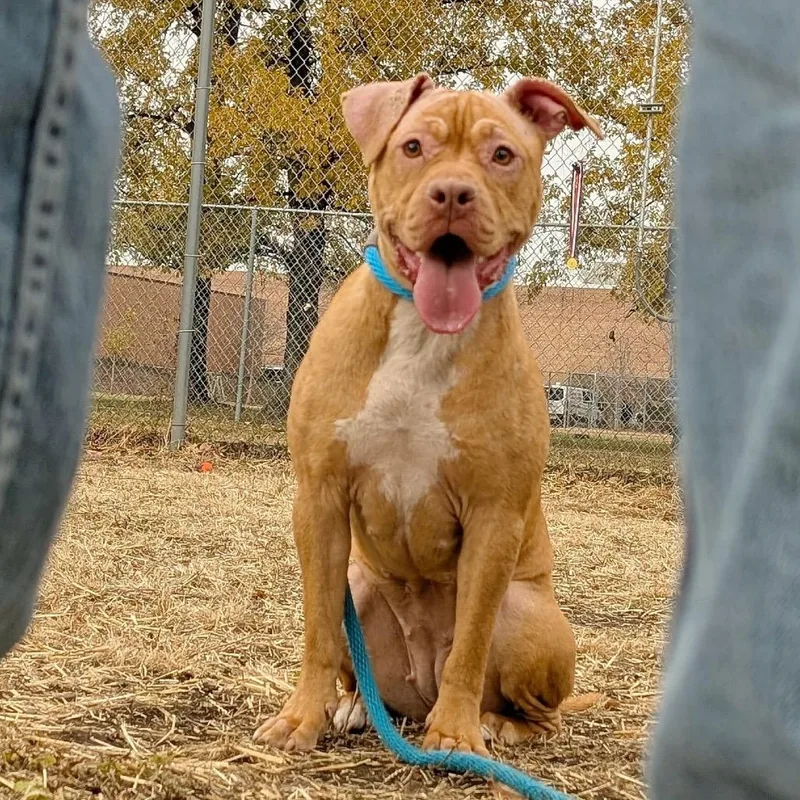 Fiona ~ Coming Soon!!! thumbnail 6