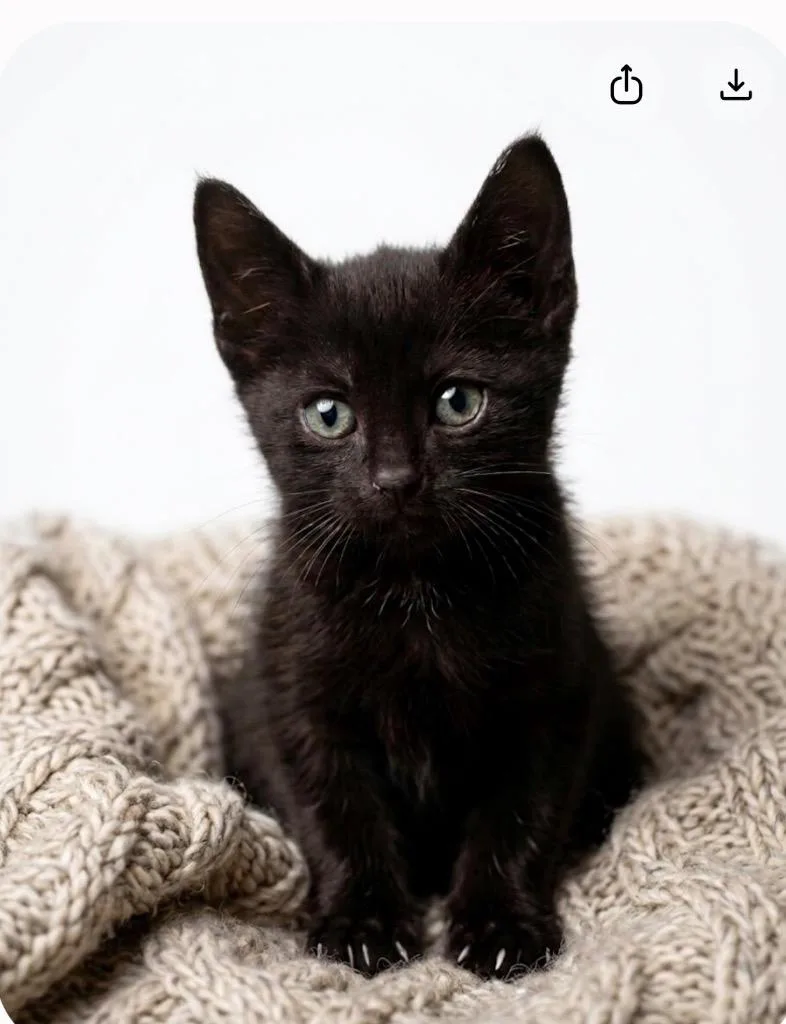 Zita thumbnail 2