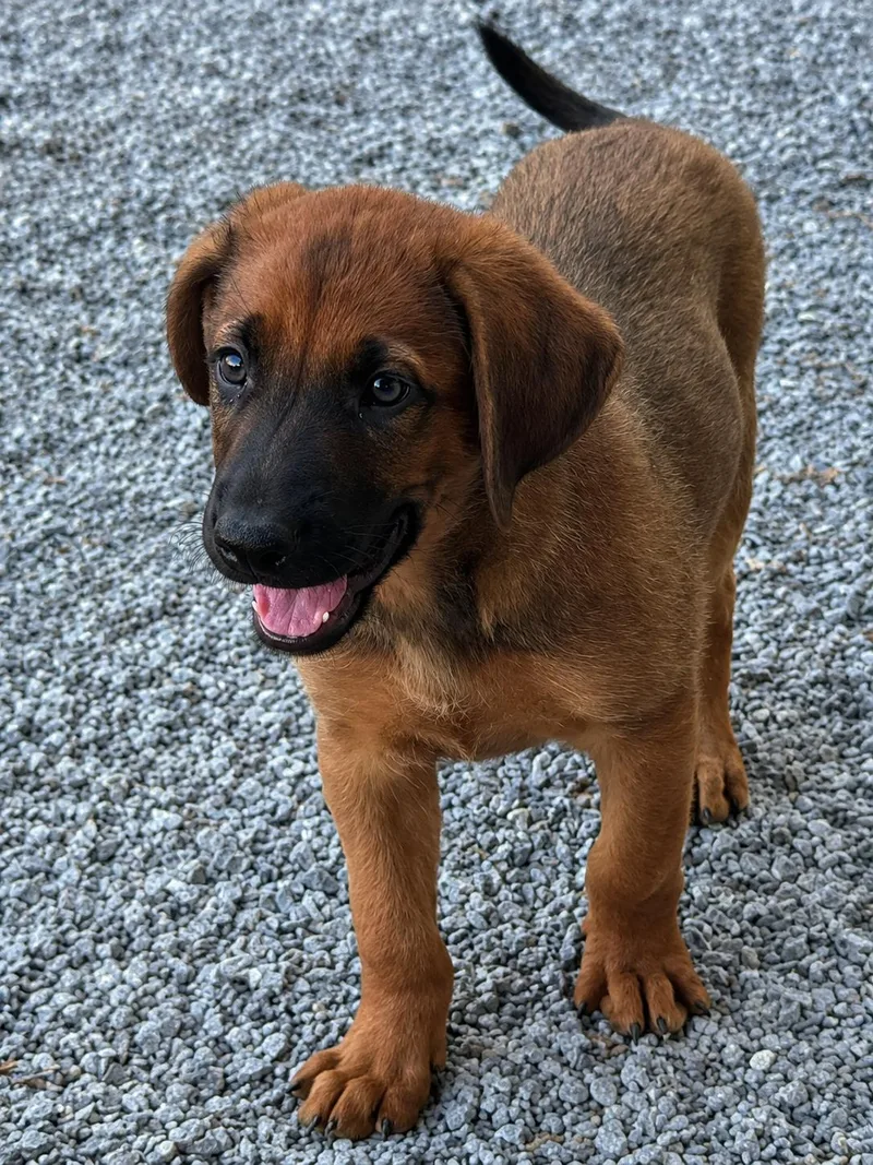Clark