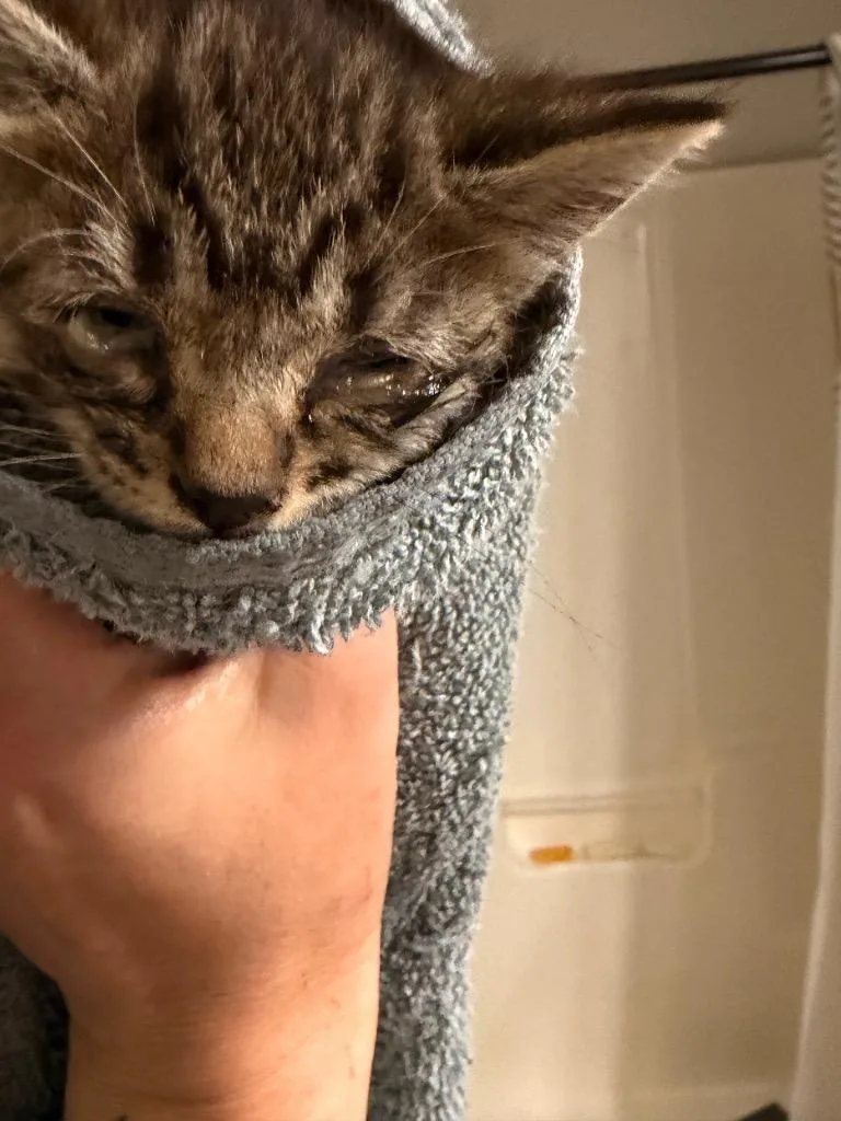 Pockets thumbnail 3