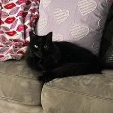 Keety Needs A New thumbnail 4